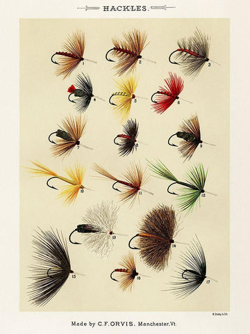 Hackles from Favorite Flies and Their Histories White Modern Wood Framed Art Print with Double Matting by Marbury, Mary Orvis