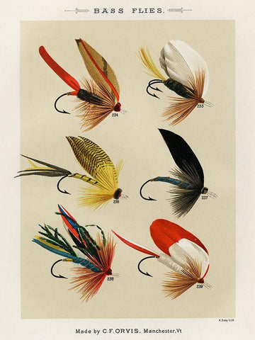 Bass Fishing Flies III from Favorite Flies and Their Histories White Modern Wood Framed Art Print with Double Matting by Marbury, Mary Orvis