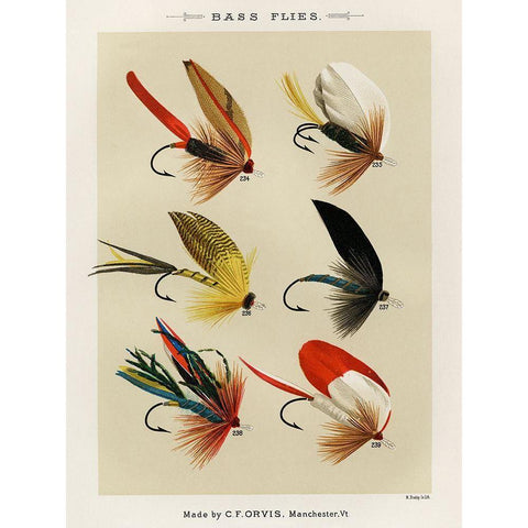 Bass Fishing Flies III from Favorite Flies and Their Histories White Modern Wood Framed Art Print by Marbury, Mary Orvis