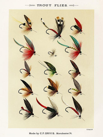 Trout Fishing Flies II from Favorite Flies and Their Histories White Modern Wood Framed Art Print with Double Matting by Marbury, Mary Orvis