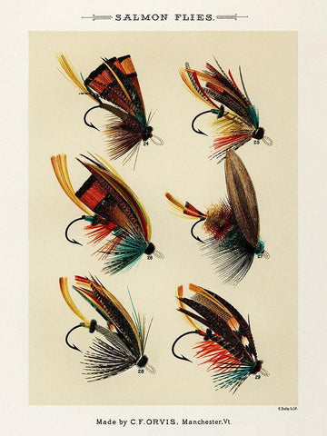 Salmon Fishing Flies III from Favorite Flies and Their Histories White Modern Wood Framed Art Print with Double Matting by Marbury, Mary Orvis