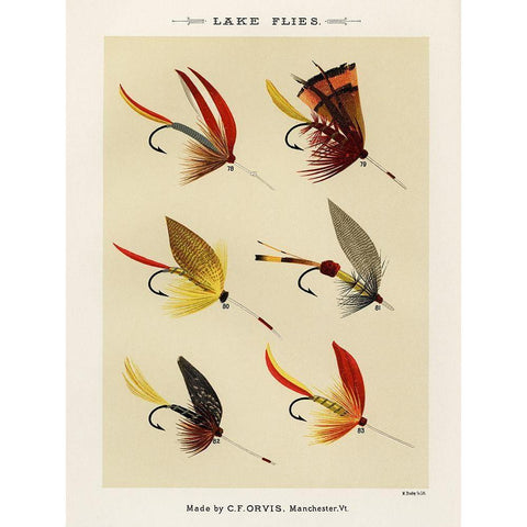 Lake Fishing Flies II from Favorite Flies and Their Histories White Modern Wood Framed Art Print by Marbury, Mary Orvis