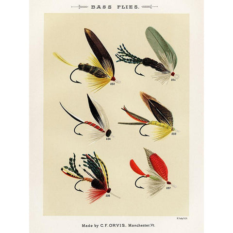 Bass Fishing Flies IV from Favorite Flies and Their Histories White Modern Wood Framed Art Print by Marbury, Mary Orvis