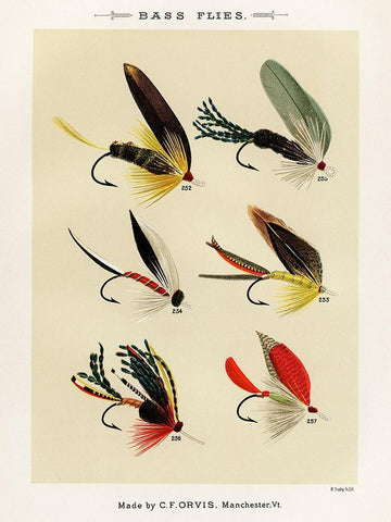 Bass Fishing Flies IV from Favorite Flies and Their Histories White Modern Wood Framed Art Print with Double Matting by Marbury, Mary Orvis