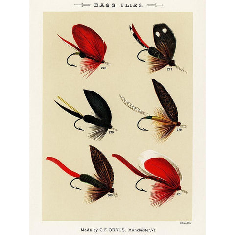 Bass Fishing Flies V from Favorite Flies and Their Histories Black Modern Wood Framed Art Print with Double Matting by Marbury, Mary Orvis