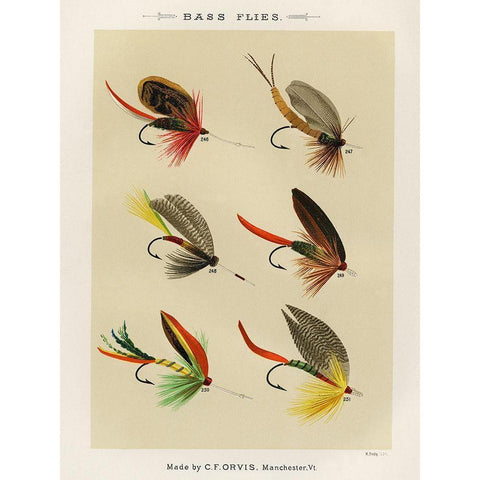 Bass Fishing Flies VII from Favorite Flies and Their Histories White Modern Wood Framed Art Print by Marbury, Mary Orvis