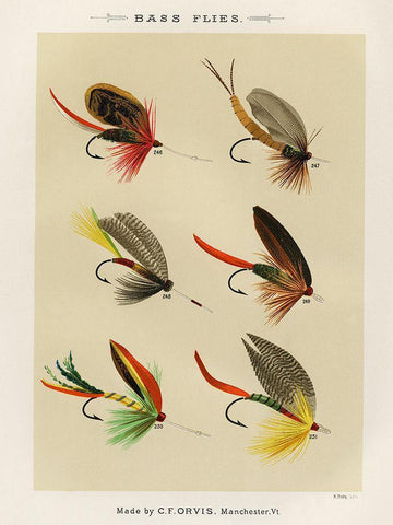 Bass Fishing Flies VII from Favorite Flies and Their Histories Black Ornate Wood Framed Art Print with Double Matting by Marbury, Mary Orvis