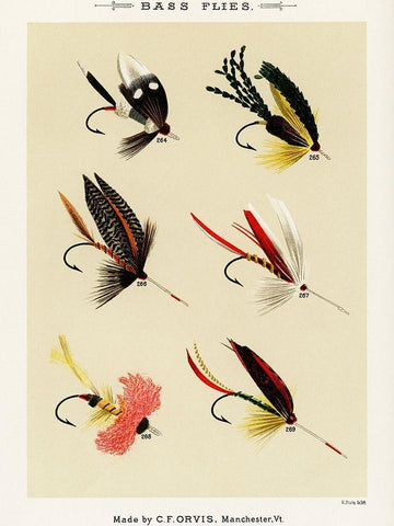 Bass Fishing Flies VIII from Favorite Flies and Their Histories Black Ornate Wood Framed Art Print with Double Matting by Marbury, Mary Orvis