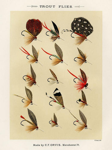 Trout Fishing Flies III from Favorite Flies and Their Histories White Modern Wood Framed Art Print with Double Matting by Marbury, Mary Orvis