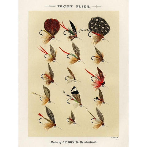 Trout Fishing Flies III from Favorite Flies and Their Histories White Modern Wood Framed Art Print by Marbury, Mary Orvis