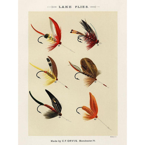 Lake Fishing Flies VI from Favorite Flies and Their Histories Black Modern Wood Framed Art Print with Double Matting by Marbury, Mary Orvis