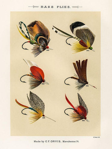 Bass Fishing Flies IX from Favorite Flies and Their Histories Black Ornate Wood Framed Art Print with Double Matting by Marbury, Mary Orvis