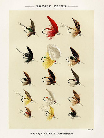 Trout Fishing Flies IV from Favorite Flies and Their Histories White Modern Wood Framed Art Print with Double Matting by Marbury, Mary Orvis