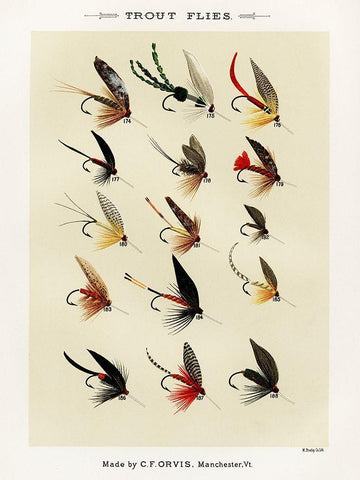 Trout Fishing Flies V from Favorite Flies and Their Histories Black Ornate Wood Framed Art Print with Double Matting by Marbury, Mary Orvis