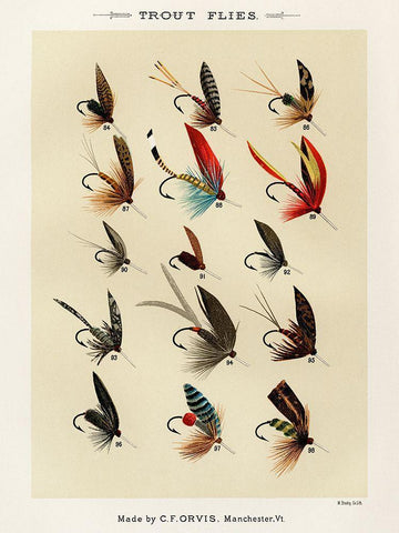 Trout Fishing Flies VI from Favorite Flies and Their Histories White Modern Wood Framed Art Print with Double Matting by Marbury, Mary Orvis