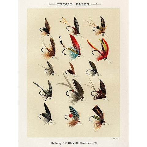 Trout Fishing Flies VI from Favorite Flies and Their Histories Black Modern Wood Framed Art Print with Double Matting by Marbury, Mary Orvis