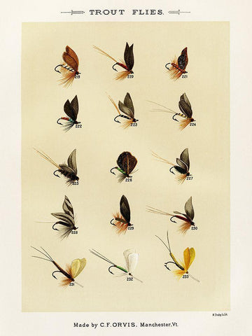 Trout Fishing Flies VII from Favorite Flies and Their Histories White Modern Wood Framed Art Print with Double Matting by Marbury, Mary Orvis