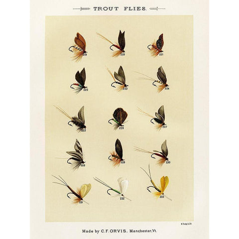 Trout Fishing Flies VII from Favorite Flies and Their Histories Gold Ornate Wood Framed Art Print with Double Matting by Marbury, Mary Orvis