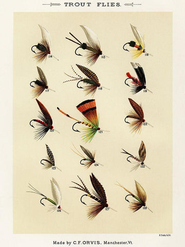 Trout Fishing Flies VIII from Favorite Flies and Their Histories White Modern Wood Framed Art Print with Double Matting by Marbury, Mary Orvis