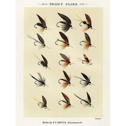 Trout Fishing Flies IX from Favorite Flies and Their Histories Gold Ornate Wood Framed Art Print with Double Matting by Marbury, Mary Orvis