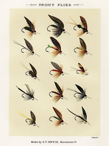 Trout Fishing Flies IX from Favorite Flies and Their Histories White Modern Wood Framed Art Print with Double Matting by Marbury, Mary Orvis