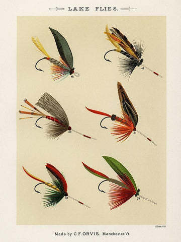 Lake Fishing Flies VII from Favorite Flies and Their Histories White Modern Wood Framed Art Print with Double Matting by Marbury, Mary Orvis