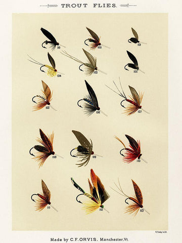 Trout Fishing Flies X from Favorite Flies and Their Histories Black Ornate Wood Framed Art Print with Double Matting by Marbury, Mary Orvis