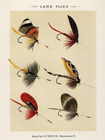 Lake Fishing Flies VIII from Favorite Flies and Their Histories White Modern Wood Framed Art Print with Double Matting by Marbury, Mary Orvis