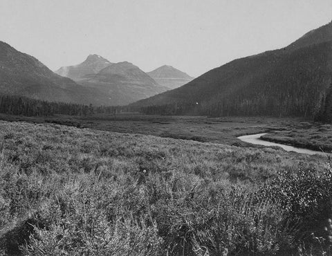 Head of Bear River-Wyoming White Modern Wood Framed Art Print with Double Matting by OSullivan, Timothy H