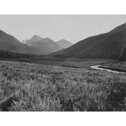 Head of Bear River-Wyoming Gold Ornate Wood Framed Art Print with Double Matting by OSullivan, Timothy H