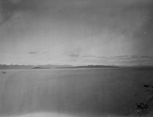 Image Only