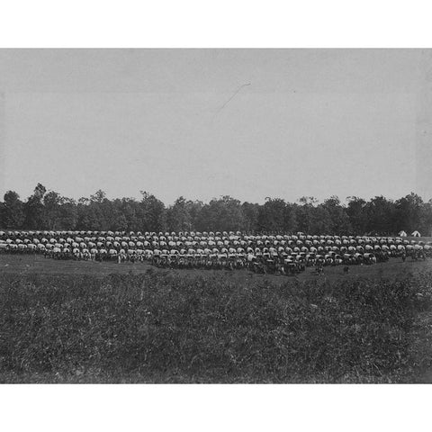 Wagon Park-Brandy Station-Virginia Gold Ornate Wood Framed Art Print with Double Matting by OSullivan, Timothy H