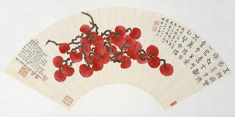 Lychees on a Chinese Fan White Modern Wood Framed Art Print with Double Matting by Fuzhi, Ding