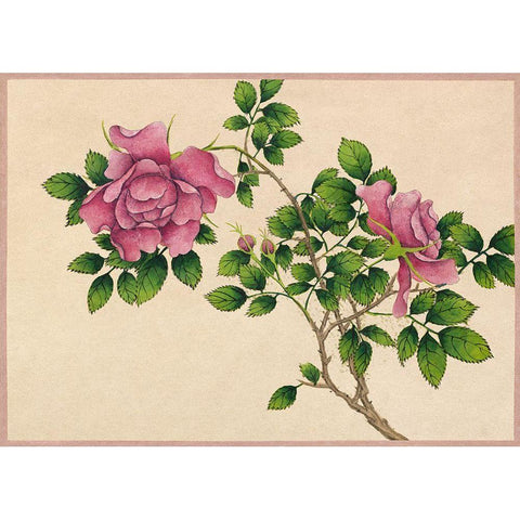 Rose Black Modern Wood Framed Art Print with Double Matting by Ruoai, Zhang