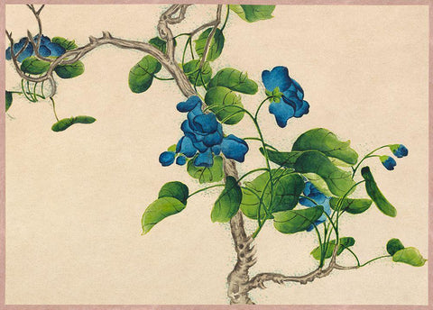 Climbing Blue FlowersÂ  White Modern Wood Framed Art Print with Double Matting by Ruoai, Zhang