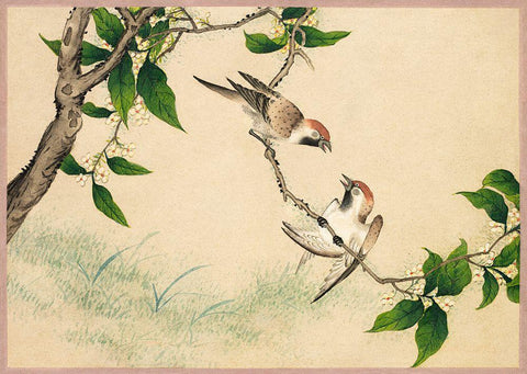 Gossiping Sparrows Black Ornate Wood Framed Art Print with Double Matting by Ruoai, Zhang