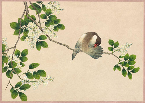 Preening Bird White Modern Wood Framed Art Print with Double Matting by Ruoai, Zhang