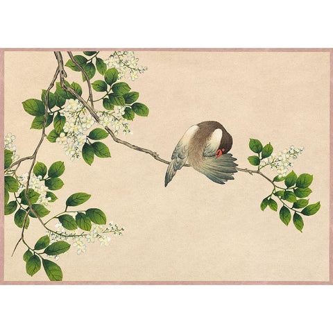 Preening Bird Black Modern Wood Framed Art Print with Double Matting by Ruoai, Zhang