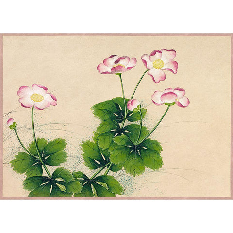 Mallow flowers Black Modern Wood Framed Art Print with Double Matting by Ruoai, Zhang