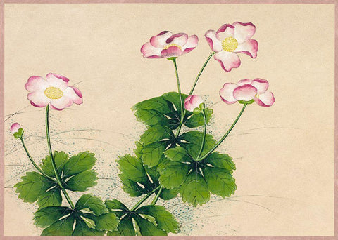 Mallow flowers White Modern Wood Framed Art Print with Double Matting by Ruoai, Zhang