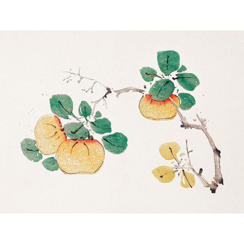 Page from Shi Zhu Zhai Orange Fruit White Modern Wood Framed Art Print by Zhengyan, Hu