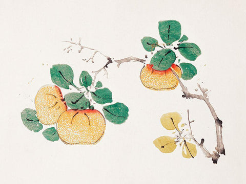 Page from Shi Zhu Zhai Orange Fruit White Modern Wood Framed Art Print with Double Matting by Zhengyan, Hu