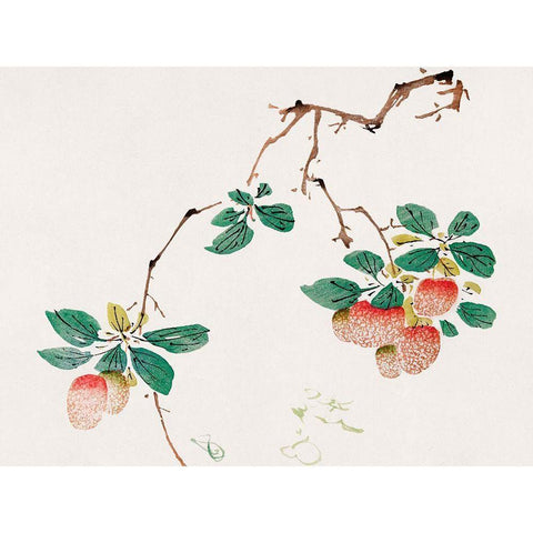 Page from Shi Zhu Zhai Red Fruit Gold Ornate Wood Framed Art Print with Double Matting by Zhengyan, Hu