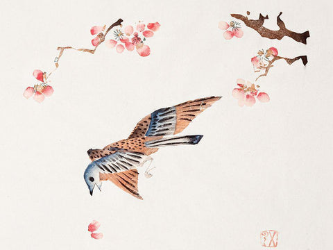 Page from Shi Zhu Zhai Flying Bird White Modern Wood Framed Art Print with Double Matting by Zhengyan, Hu