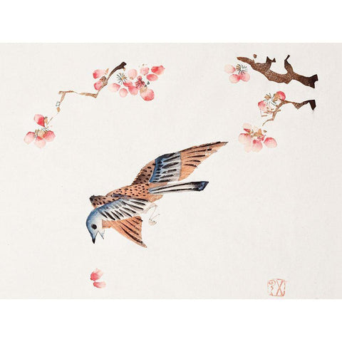 Page from Shi Zhu Zhai Flying Bird Black Modern Wood Framed Art Print with Double Matting by Zhengyan, Hu