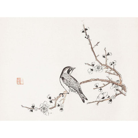 Page from Shi Zhu Zhai Bird on Branch Black Modern Wood Framed Art Print with Double Matting by Zhengyan, Hu