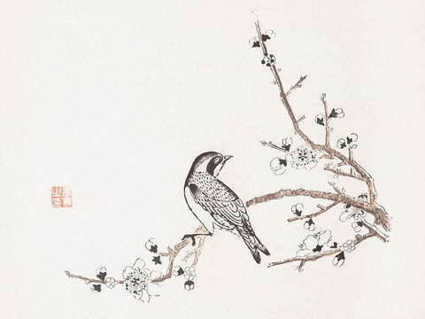 Page from Shi Zhu Zhai Bird on Branch Black Ornate Wood Framed Art Print with Double Matting by Zhengyan, Hu