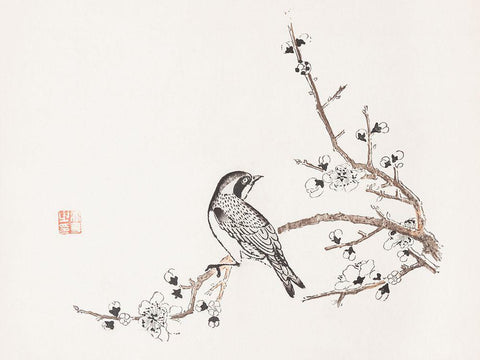 Page from Shi Zhu Zhai Bird on Branch White Modern Wood Framed Art Print with Double Matting by Zhengyan, Hu