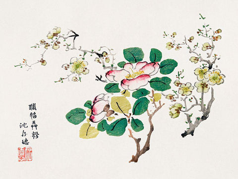 Page from Shi Zhu Zhai Pink Blossoms White Modern Wood Framed Art Print with Double Matting by Zhengyan, Hu