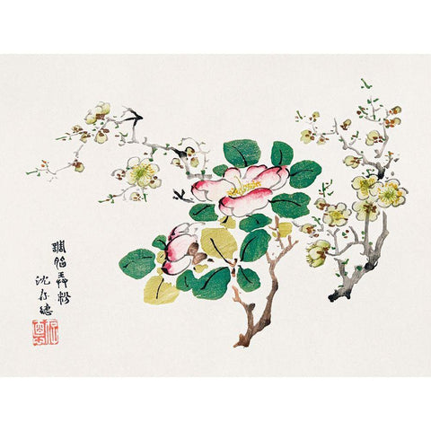 Page from Shi Zhu Zhai Pink Blossoms Gold Ornate Wood Framed Art Print with Double Matting by Zhengyan, Hu